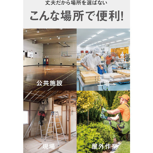 CAT 工場扇 50cm(壁・床タイプ)