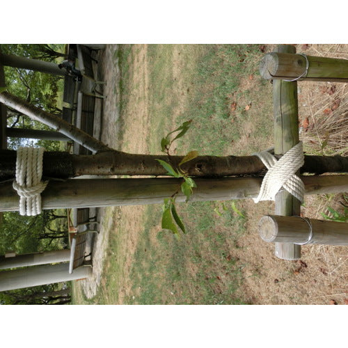 TRUSCO(トラスコ) 綿ロープ 3つ打 線径6mmX長さ200m