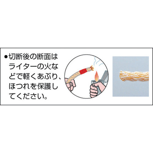 TRUSCO(トラスコ) PVトラックロープ 3つ打 線径12mmX長さ10m