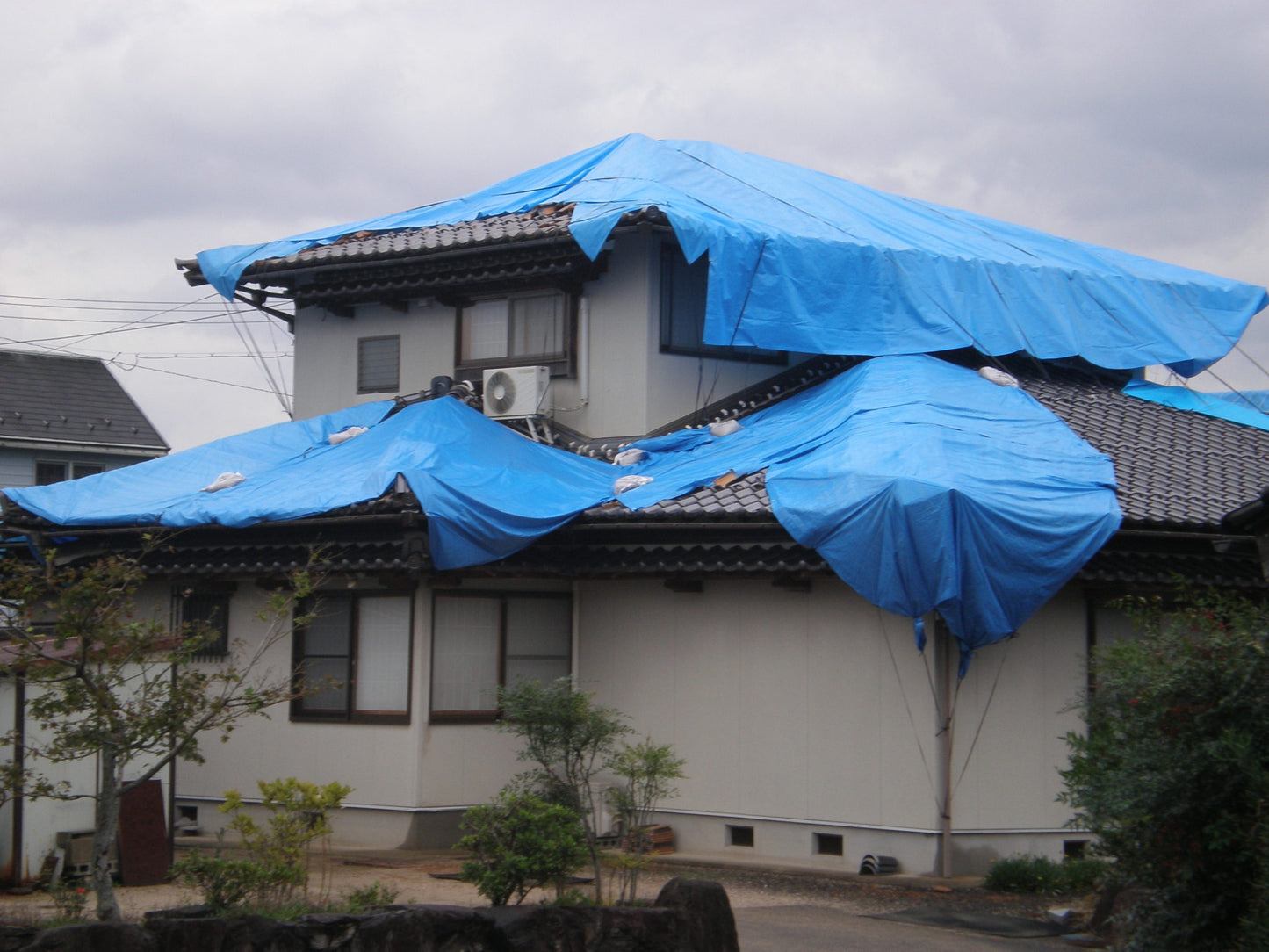 ターピーエコフレンドシートL #3000