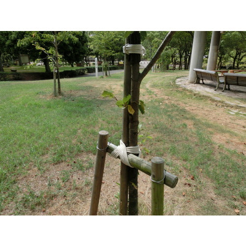 TRUSCO(トラスコ) 綿ロープ 3つ打 線径4mmX長さ10m