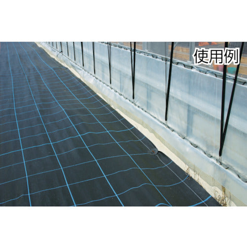 ワイドクロス 防草シ−ト BG1515−1X100 グリーン