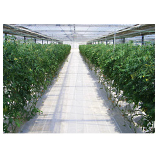 ダイオグランドシート 1515【抗菌剤入】