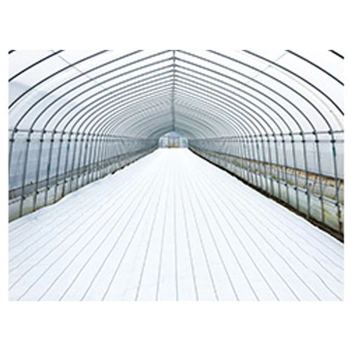 ダイオグランドシートαホワイト 1516OW