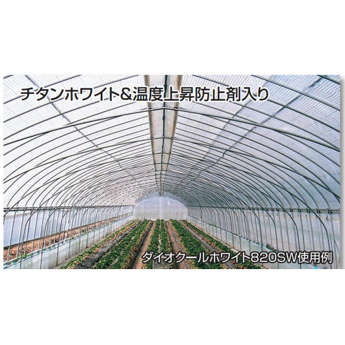 ダイオクールホワイト 520SW