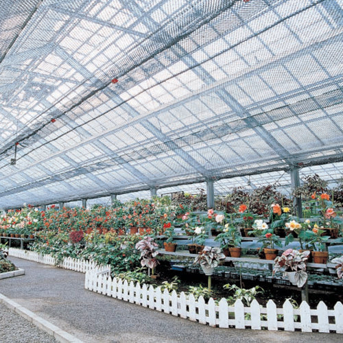 ダイオラッセル 85P