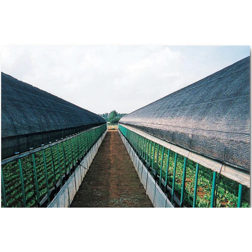 ダイオシート 14号