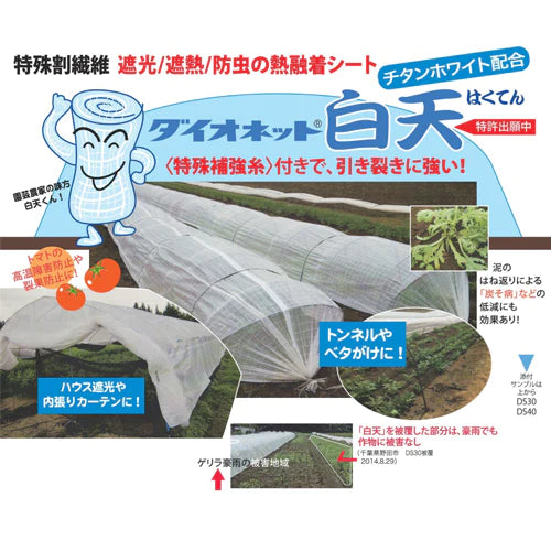 ダイオネット白天 DS40