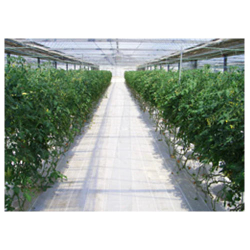 ダイオグランドシートS S1515