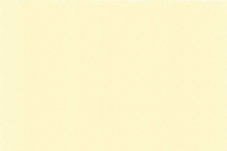 【特注】ワンナップカラーターポリン1類 0.5mm ターポリン(VB-050TP)