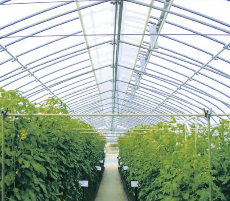 モヤレスいただき0.15(外張り用100m巻)