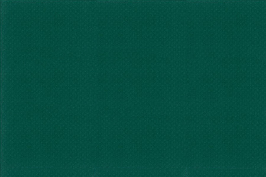 ワンナップカラーターポリン2類 0.35mm ターポリン(VB-035TP)