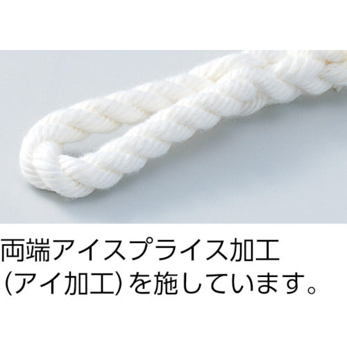 TRUSCO（トラスコ） ビニロントラックロープ 3つ打 線径9mmX長さ10m
