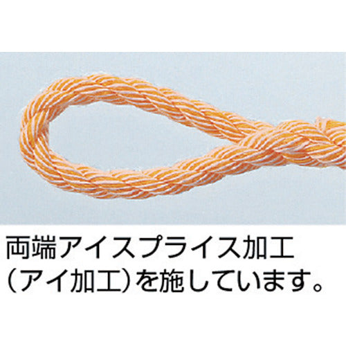 TRUSCO（トラスコ） PVトラックロープ 3つ打 線径12mmX長さ10m