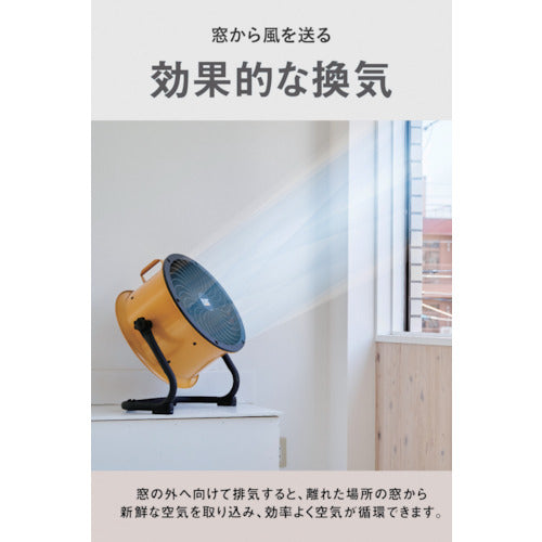 CAT サーキュレーター 35cm（壁・床タイプ） イエロー