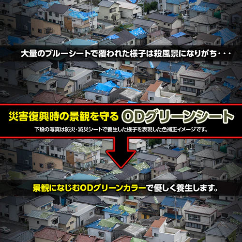 【屋根補修シート】ターピー 防災・減災シート #3000