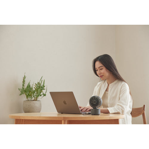 RHYTHM 卓上扇風機 静音 小型 USB給電式 自動首振り 強力 DCモーター 2重反転ファン デスクファン お手入れ簡単 Silky Wind Mini ダークグレー