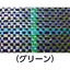 ワイドクロス 防草シ−ト BG1515−1X100 グリーン