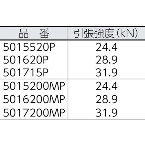 BlueWater ブルーウォーター2プラス 9.5φ×61m