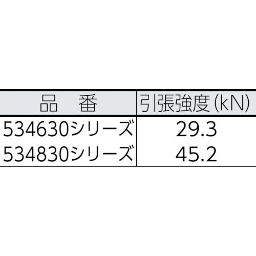 BlueWater セイフライン 9.5φ×91m 黒