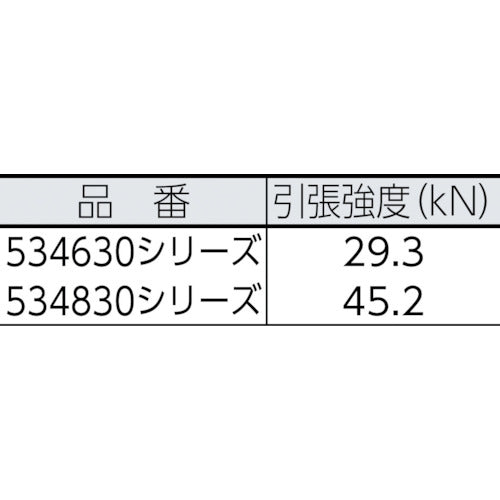 BlueWater セイフライン 9.5φ×91m 緑／オレンジ