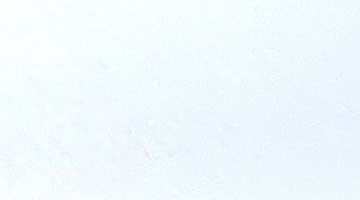 【両面印刷用遮光ターポリン】アドマックス®SJT-V200FD 0.34mm（VD-034ADFD）