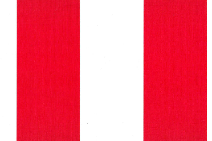 生地カットサンプル｜VB-044NP ニューパスティ 0.44mm