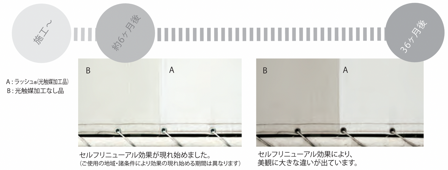 【特注】ラッシュ 0.45mm デザインテント生地（VB-045RS）