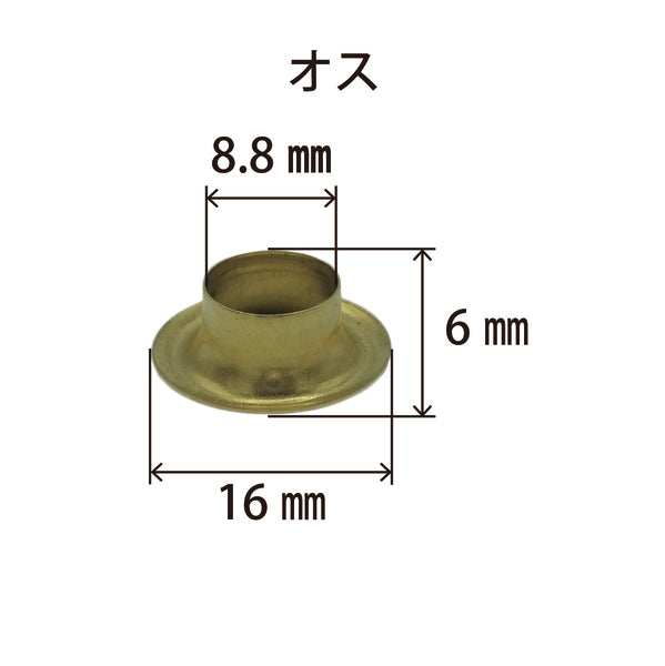 真鍮ハトメ23番オスメス各2000個セット(複座)
