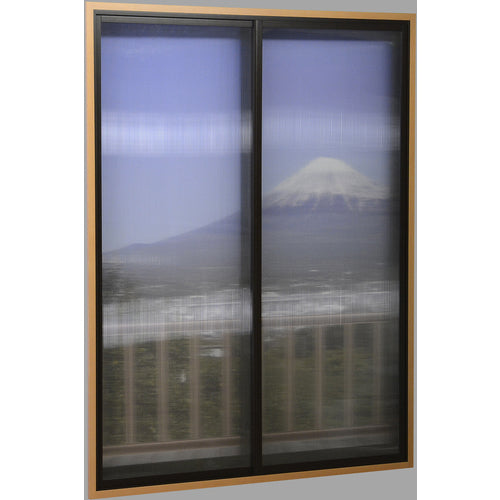 ポリカ　中空ボード　4ミリ　透明　6枚セット　引き取り限定 光 ポリカ中空ボード450×900×4mm透明2枚入＿ の通販