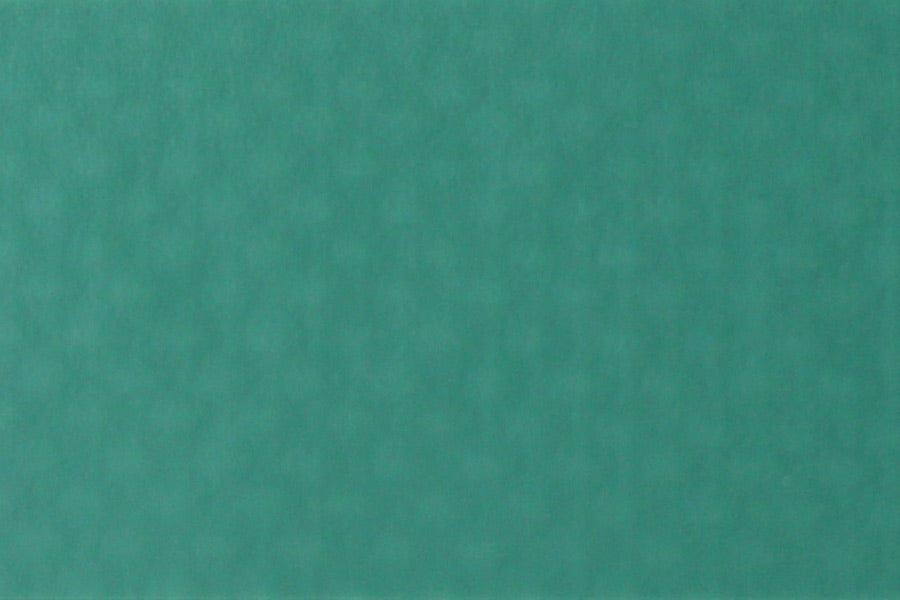 ワンナップカラーターポリン2類 0.35mm ターポリン（VB-035TP）